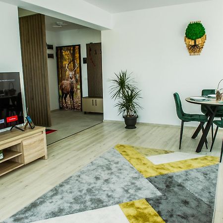 Stag Loft Brasov Apartment Exterior foto
